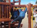C50 Commercial Monkey Bars