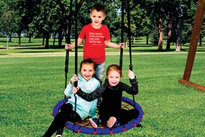 Web Swing