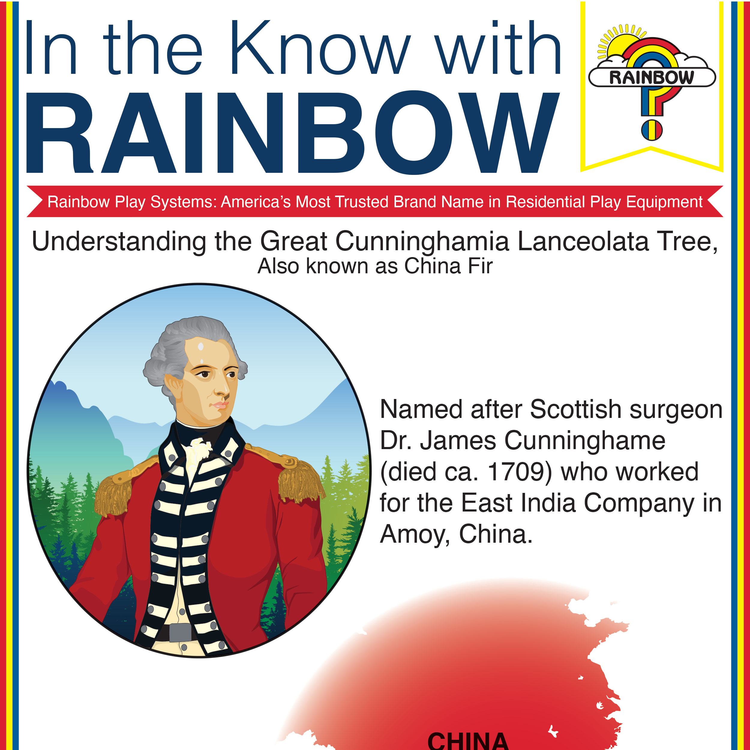 In the Know with Rainbow - Cunninghamia